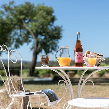 Chateau Nestuby Cotignac Εξωτερικό φωτογραφία