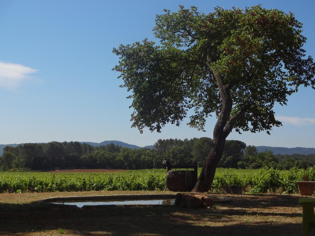 Chateau Nestuby Cotignac Εξωτερικό φωτογραφία