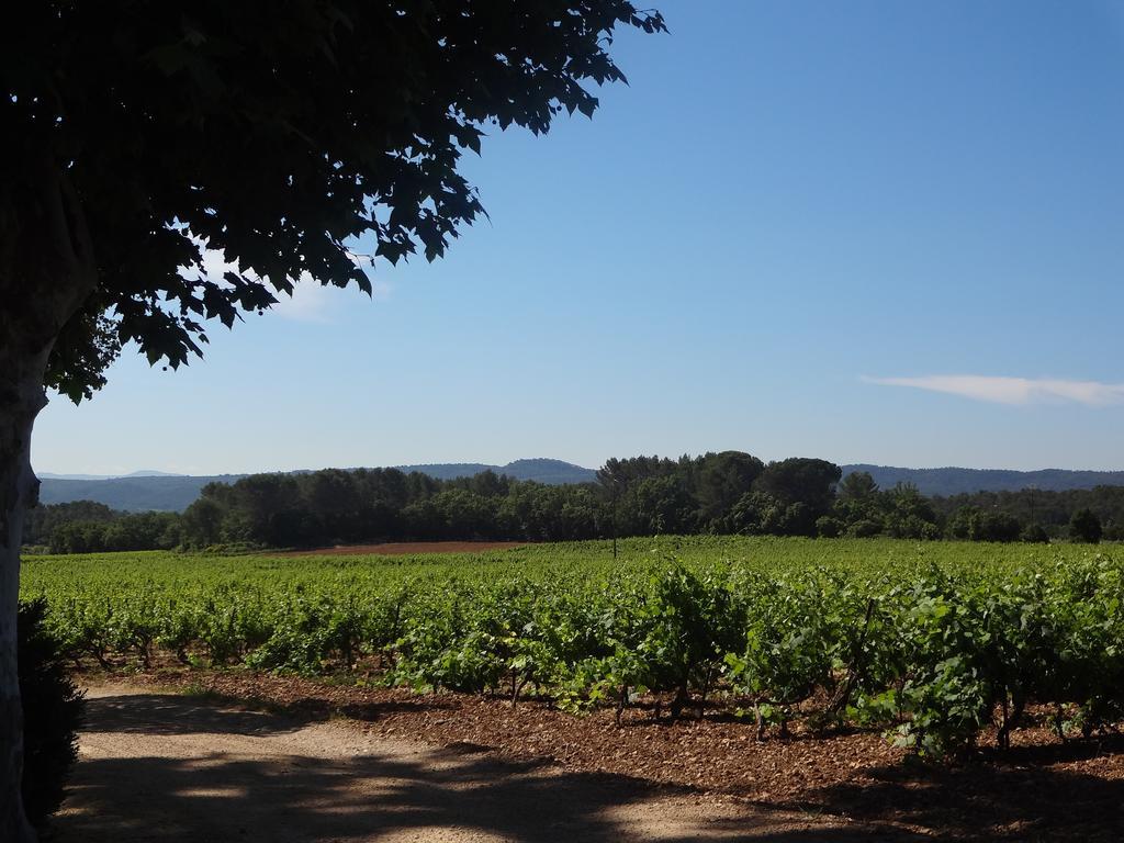 Chateau Nestuby Cotignac Εξωτερικό φωτογραφία